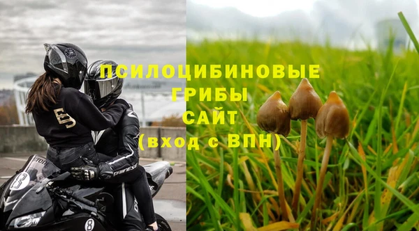 ALPHA-PVP Аркадак