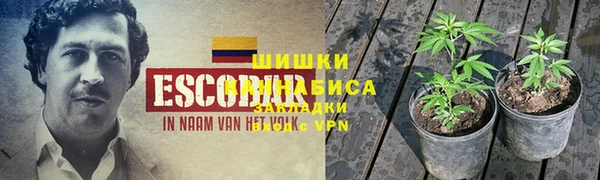 гидра Арсеньев