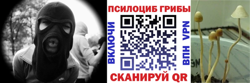 Галлюциногенные грибы мухоморы  Усть-Джегута 