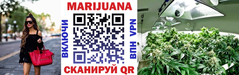 где можно купить наркотик  Усть-Джегута  Конопля Amnesia 
